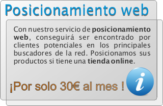 Posicionamiento web